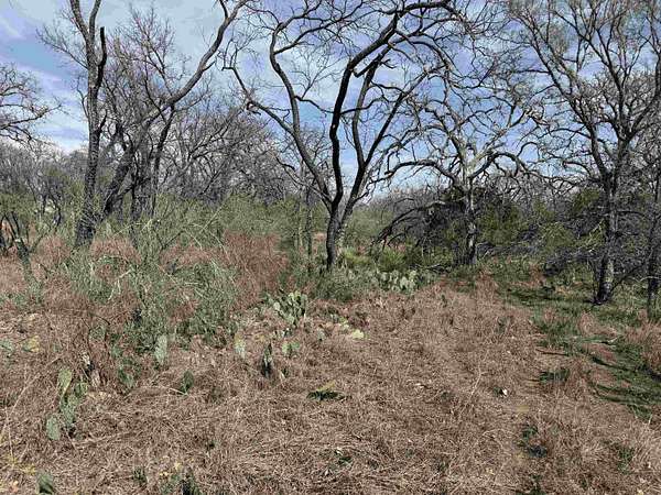 0.28 Acres of Residential Land for Sale in Kingsland, Texas