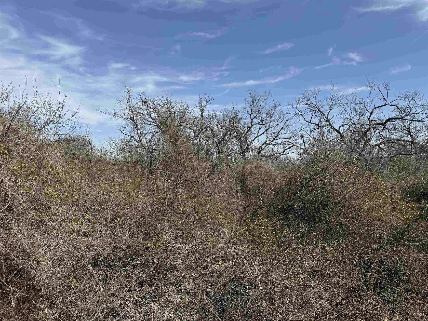 0.28 Acres of Land for Sale in Kingsland, Texas