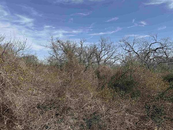 2.48 Acres of Residential Land for Sale in Kingsland, Texas