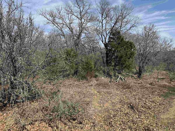 2 Acres of Residential Land for Sale in Kingsland, Texas