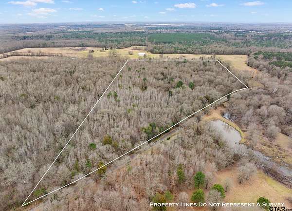 24.1 Acres of Recreational Land for Sale in Pittsburg, Texas