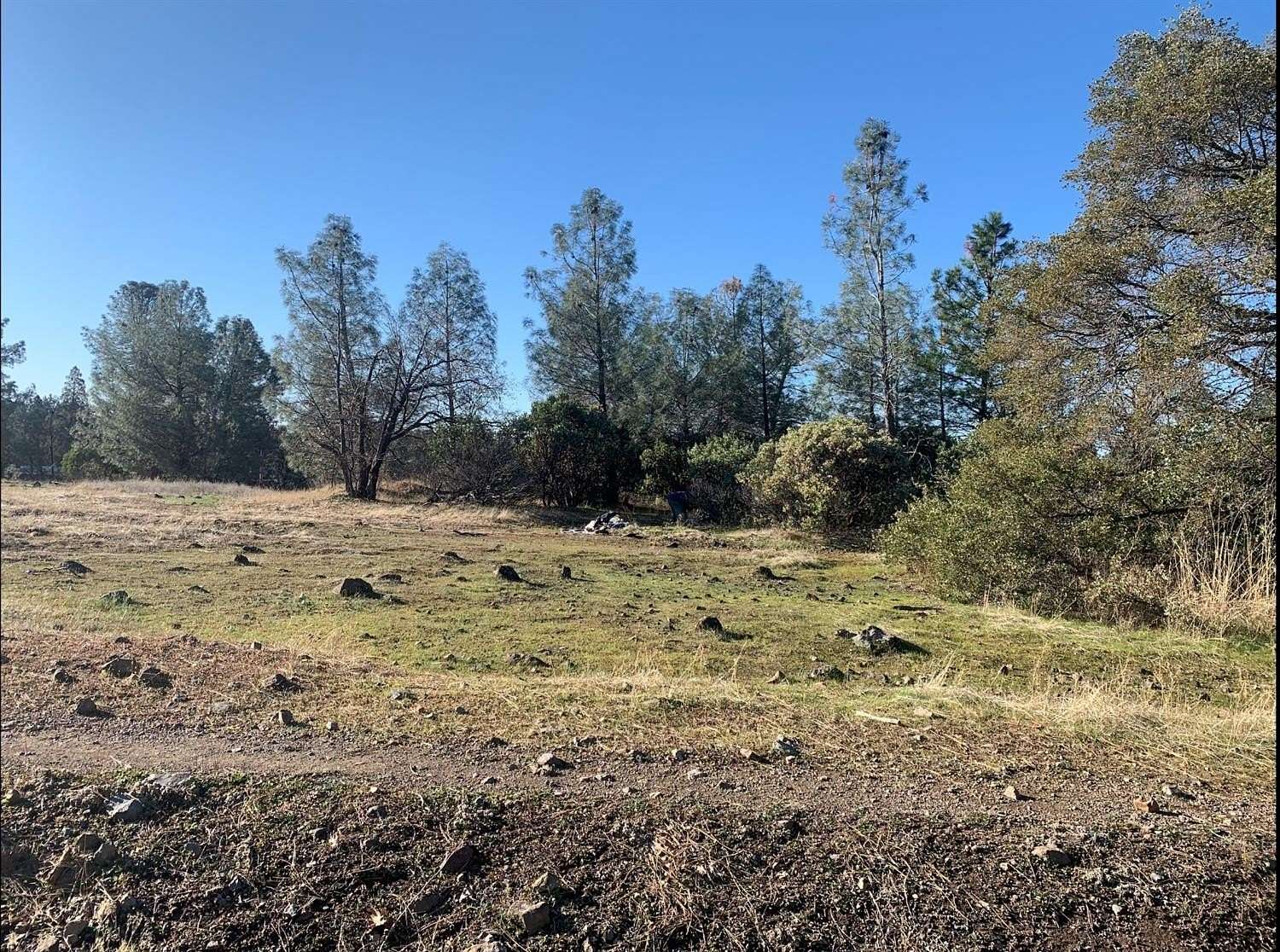 14 Acres of Commercial Land for Sale in Grass Valley, California