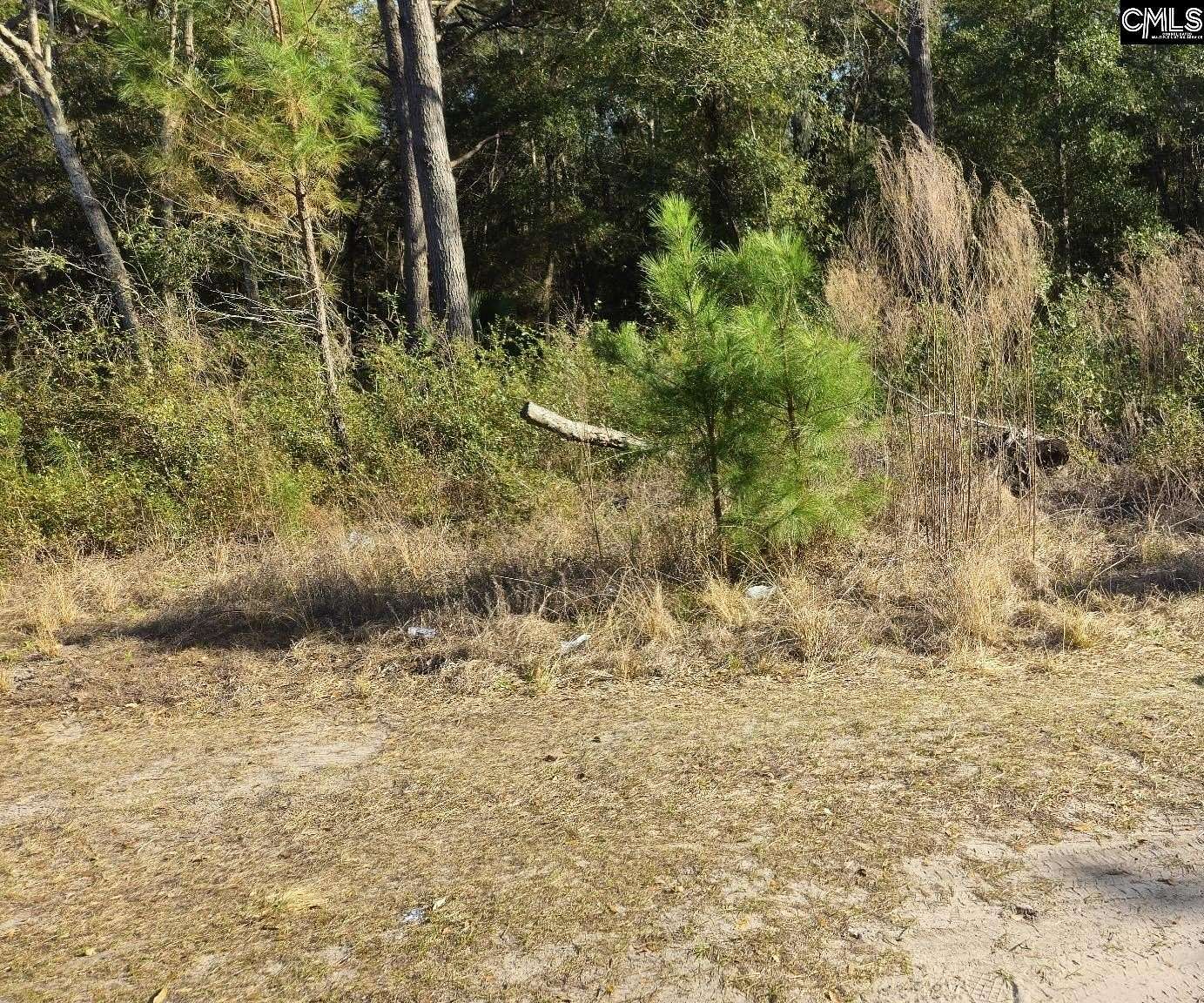3 Acres of Residential Land for Sale in Saint Helena Island, South Carolina