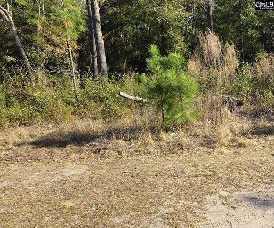 3 Acres of Residential Land for Sale in Saint Helena Island, South Carolina