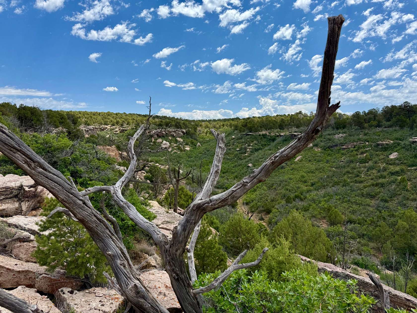 486 Acres of Recreational Land for Sale in Dove Creek, Colorado