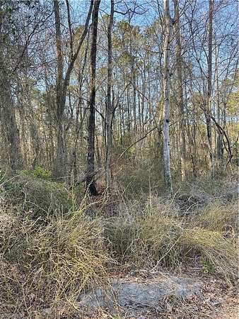 6.77 Acres of Residential Land for Sale in Carthage, North Carolina