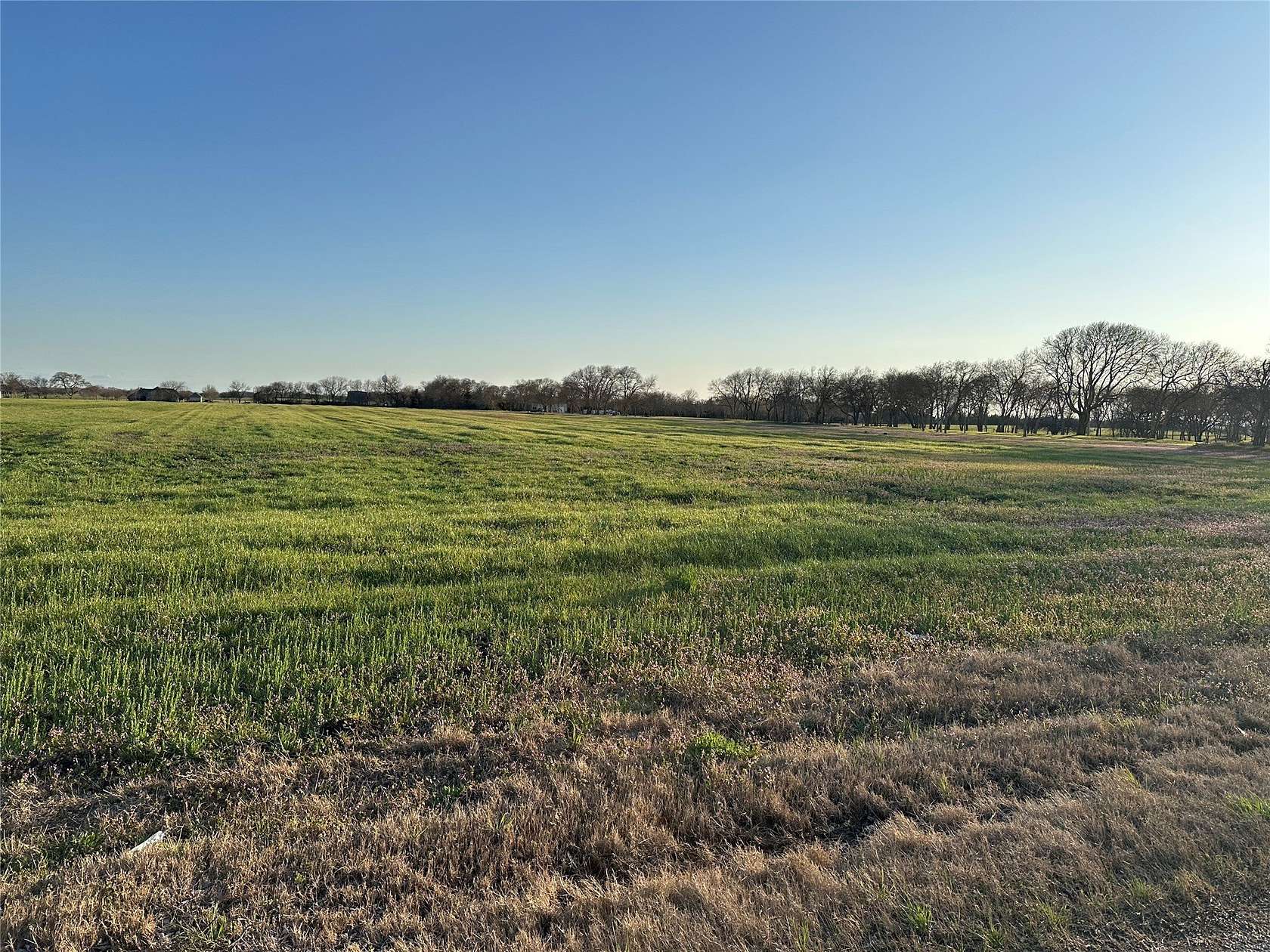 10 Acres of Agricultural Land for Sale in Gunter, Texas