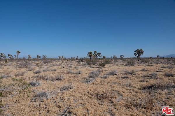 10 Acres of Land for Sale in Adelanto, California