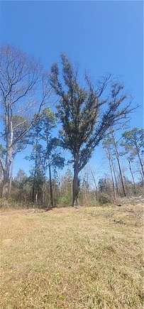 2.48 Acres of Residential Land for Sale in Grand Bay, Alabama - LandSearch