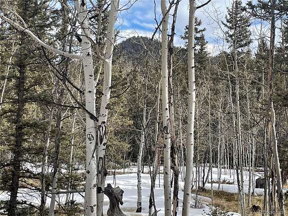 2 Acres of Residential Land for Sale in Jefferson, Colorado