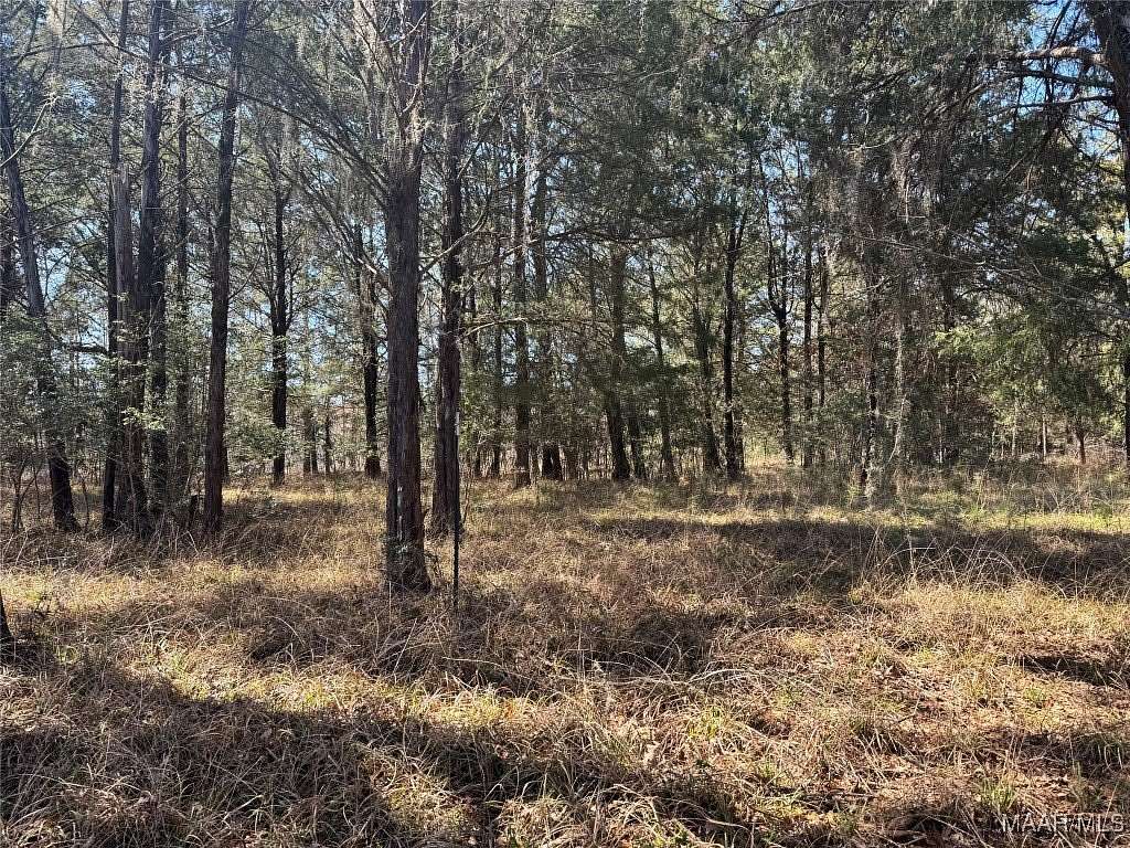 1.39 Acres of Residential Land for Sale in Catherine, Alabama