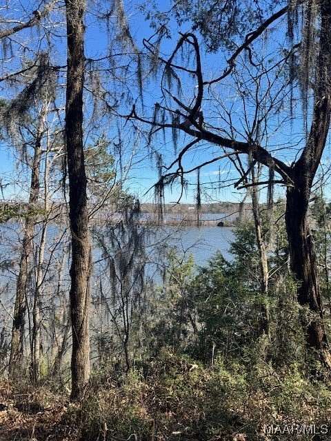 1.16 Acres of Residential Land for Sale in Catherine, Alabama