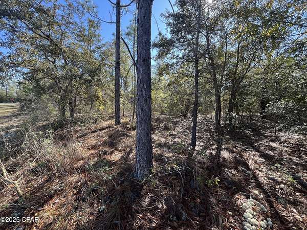 0.43 Acres of Residential Land for Sale in Chipley, Florida
