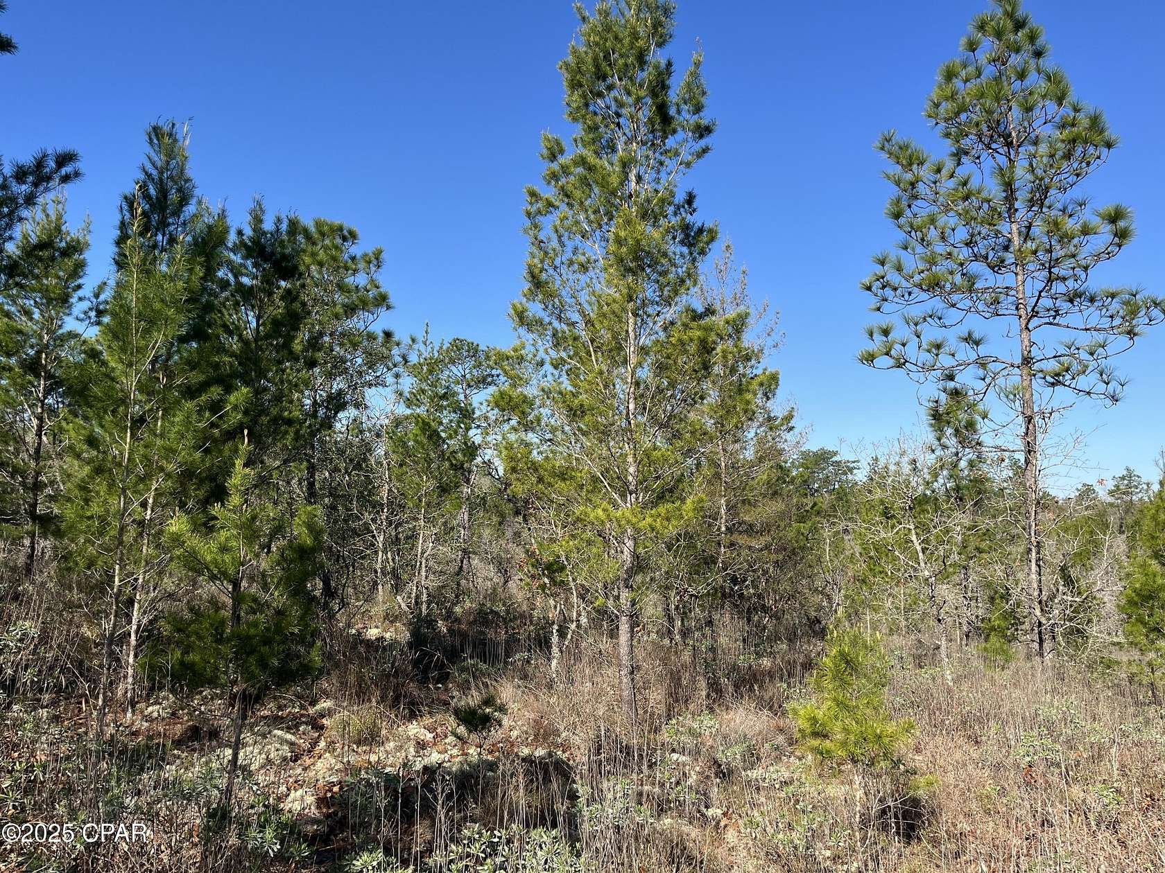0.37 Acres of Residential Land for Sale in Chipley, Florida