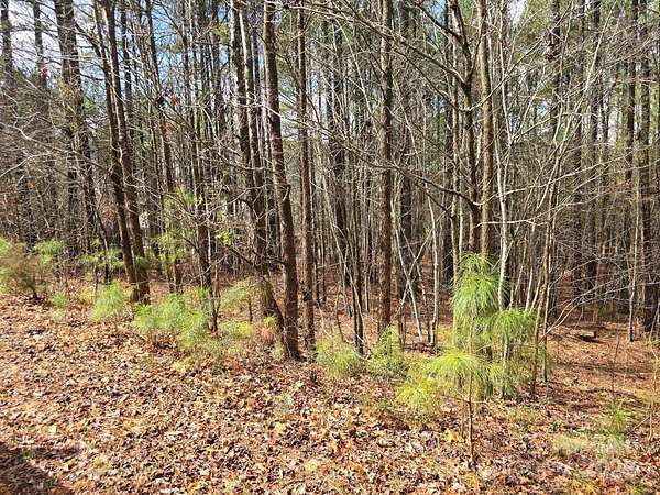 0.72 Acres of Residential Land for Sale in Denton, North Carolina