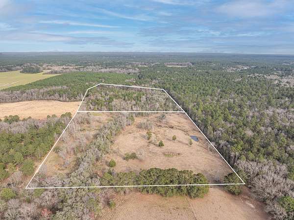 26.9 Acres of Land for Sale in Baker, Florida