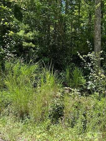 2.63 Acres of Residential Land for Sale in Hendersonville, North Carolina