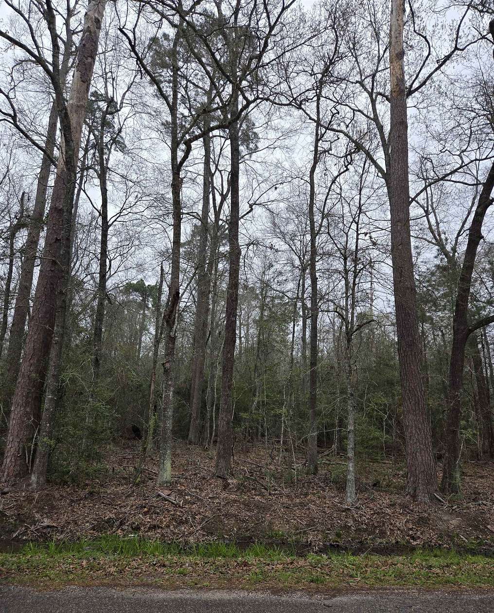 10.5 Acres of Land for Sale in Beaumont, Texas