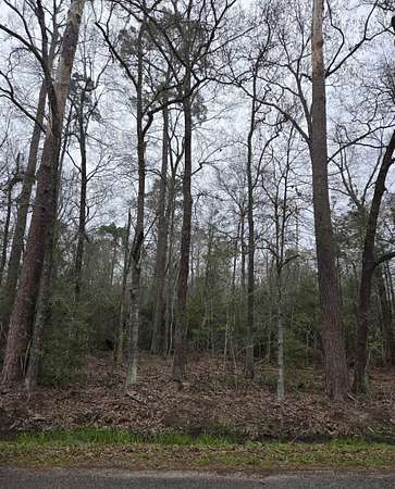 10.5 Acres of Land for Sale in Beaumont, Texas