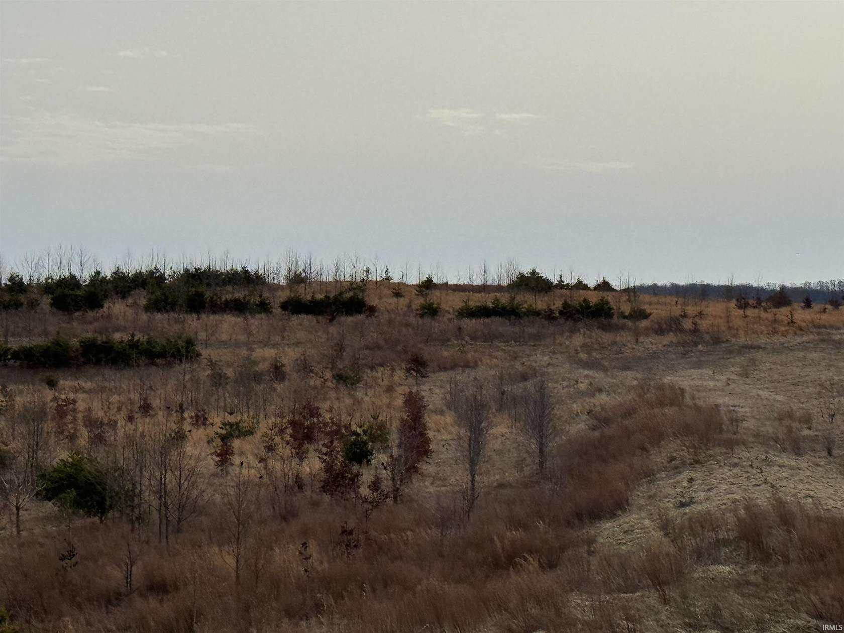40 Acres of Recreational Land for Sale in Spurgeon, Indiana