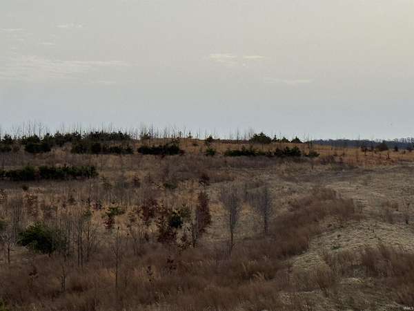 40 Acres of Recreational Land for Sale in Spurgeon, Indiana
