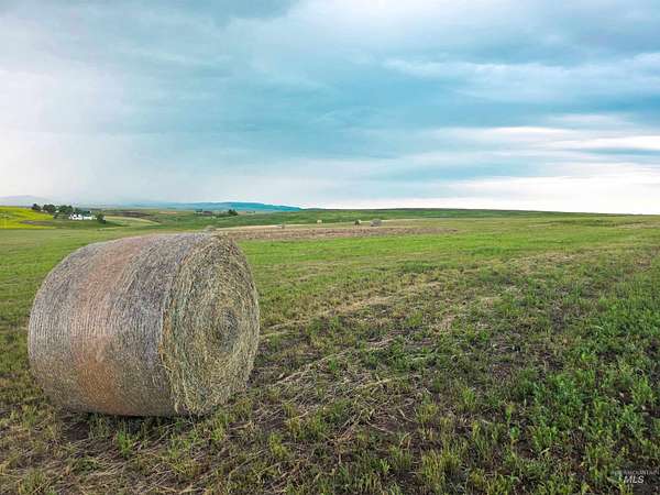 15 Acres of Land for Sale in Grangeville, Idaho