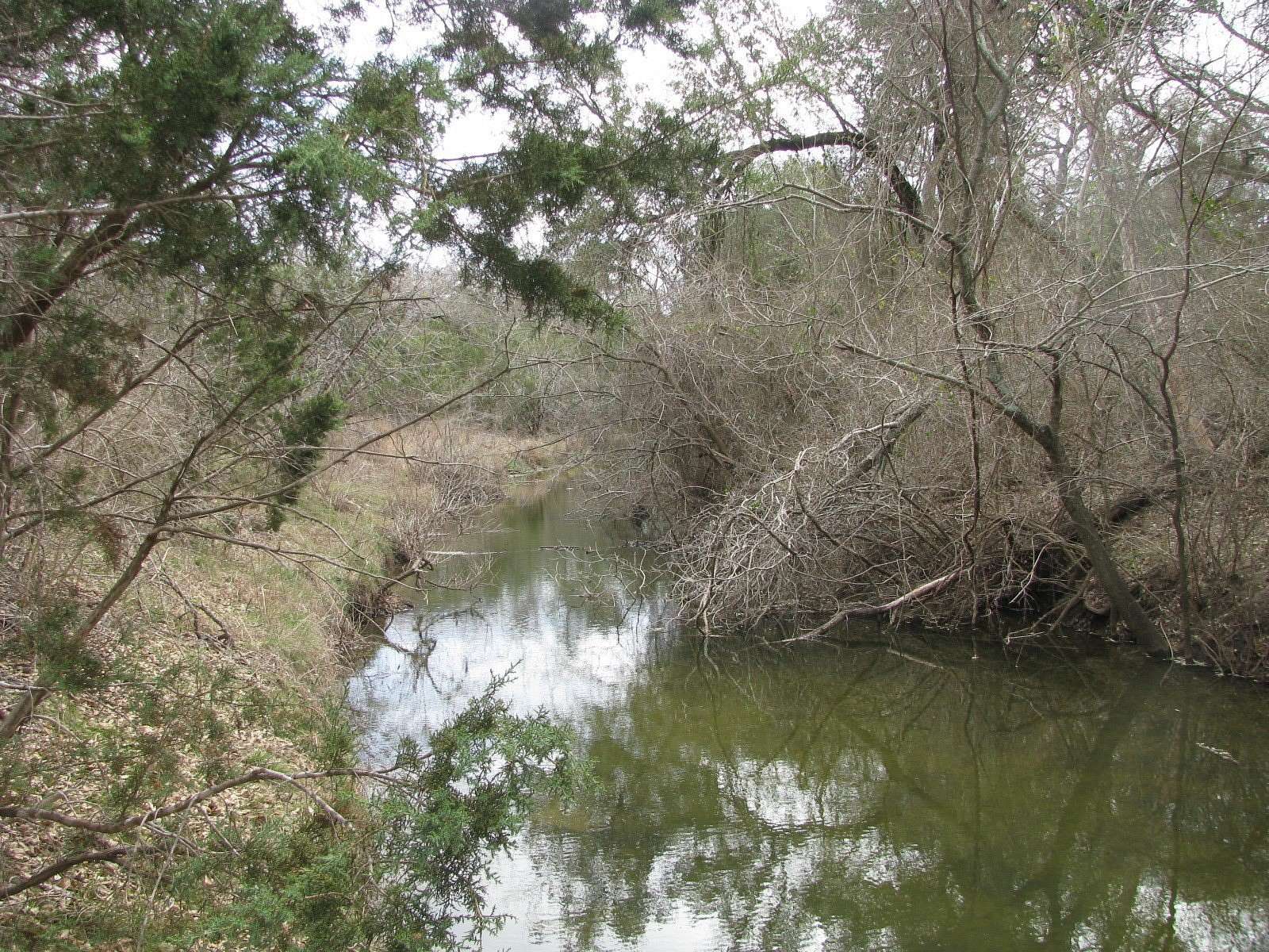 48 Acres of Land for Sale in Copperas Cove, Texas