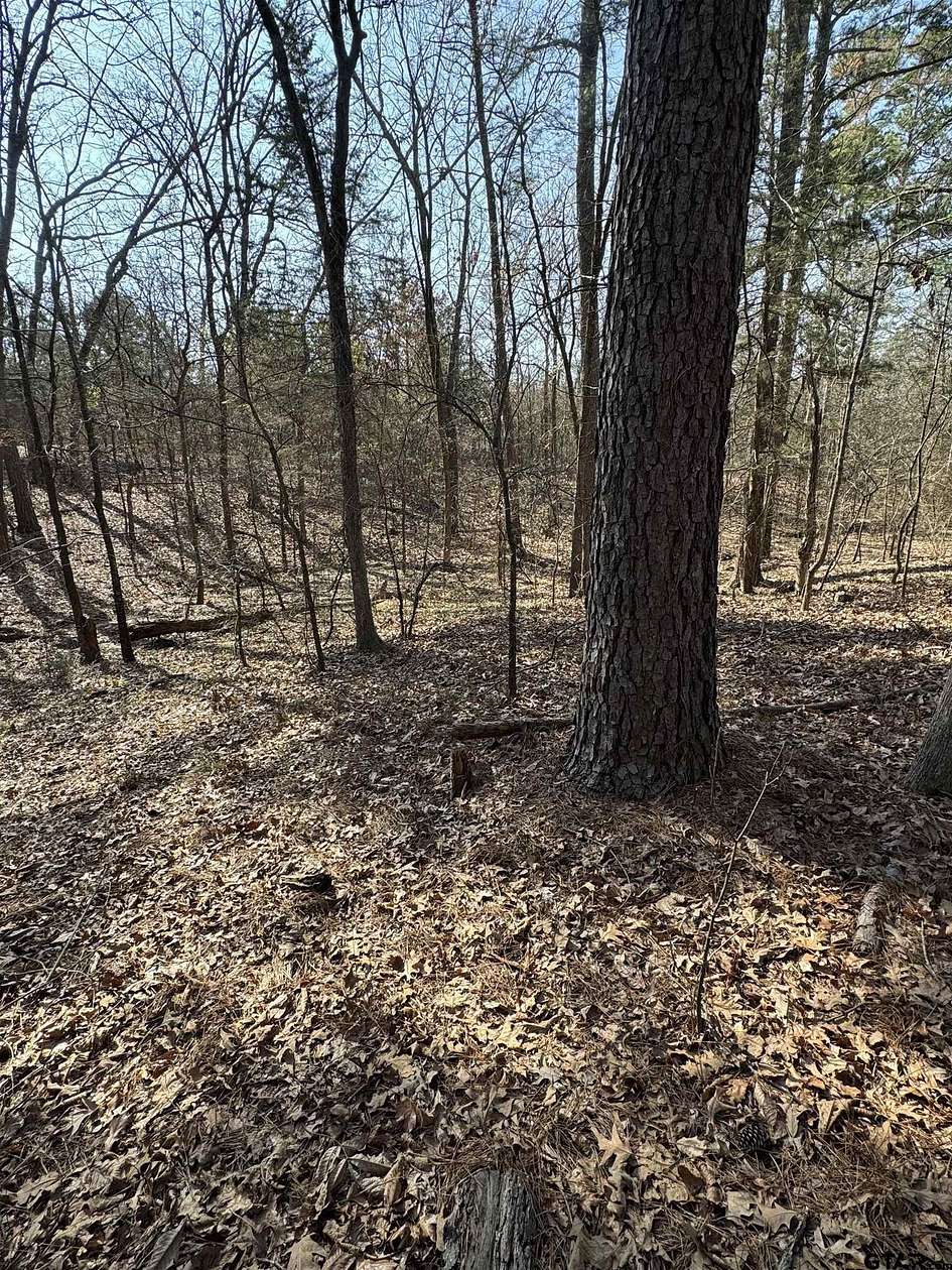 0.5 Acres of Residential Land for Sale in Mount Vernon, Texas