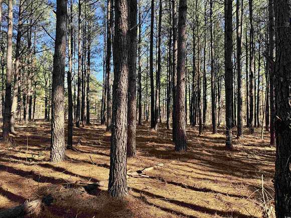 58 Acres of Recreational Land for Sale in Marion, South Carolina