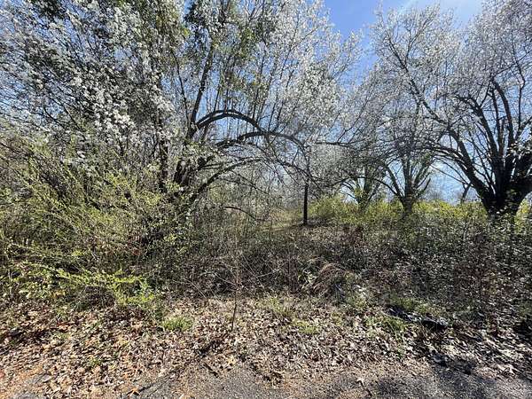 0.74 Acres of Residential Land for Sale in New Ellenton, South Carolina