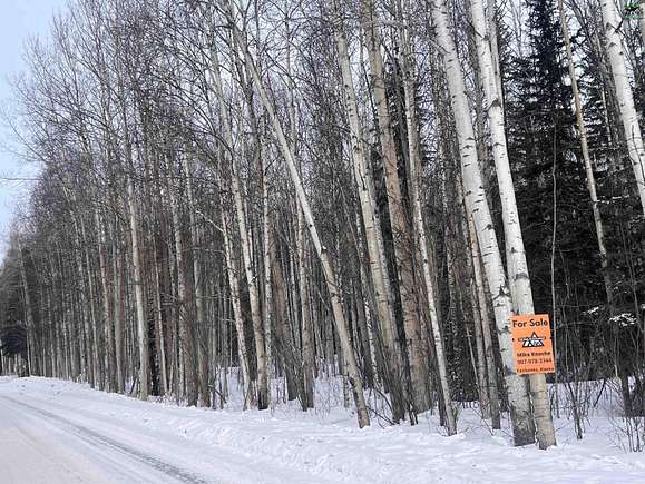 18.1 Acres of Land for Sale in Fairbanks, Alaska - LandSearch