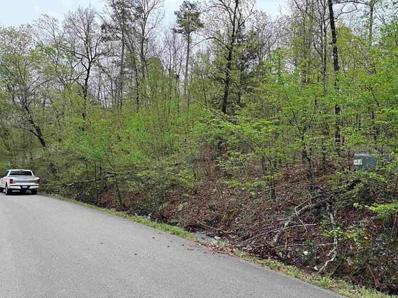 0.25 Acres of Residential Land for Sale in Hot Springs Village, Arkansas