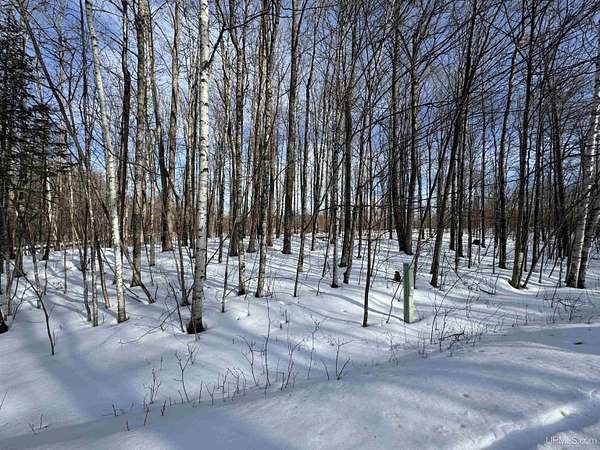 0.4 Acres of Residential Land for Sale in Iron River, Michigan
