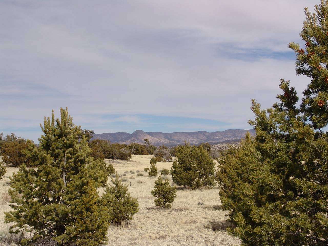 20 Acres of Recreational Land for Sale in Datil, New Mexico