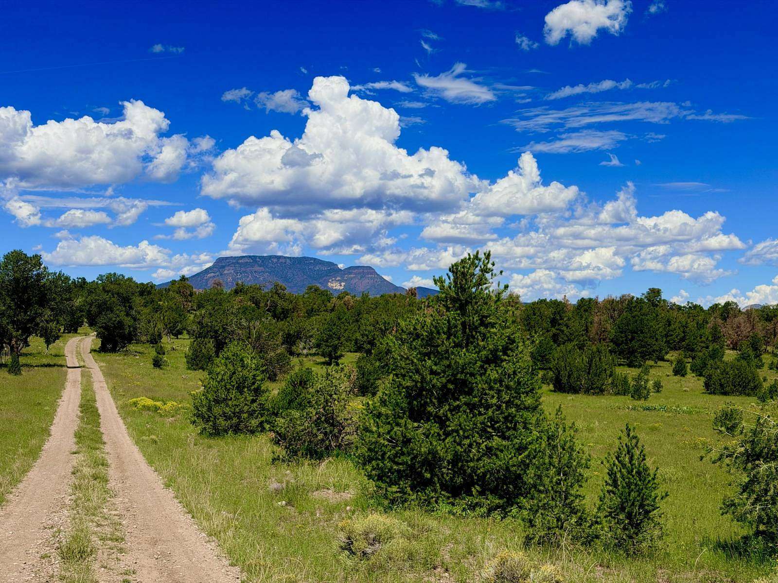20 Acres of Recreational & Residential Land for Sale in Datil, New Mexico