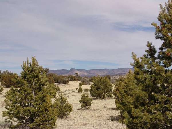 20 Acres of Recreational Land for Sale in Datil, New Mexico