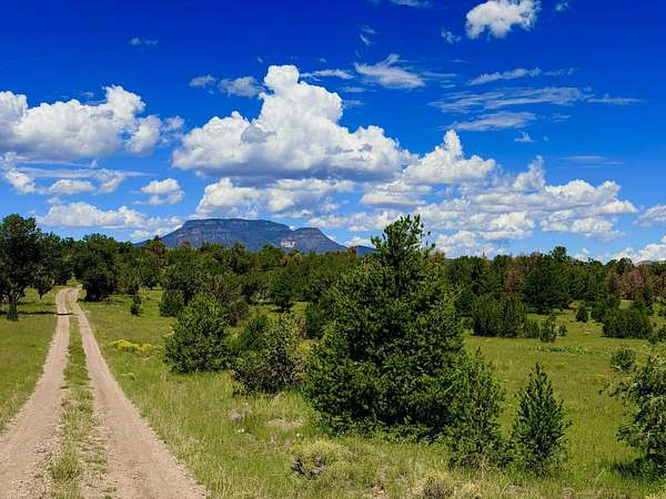 20 Acres of Recreational & Residential Land for Sale in Datil, New Mexico