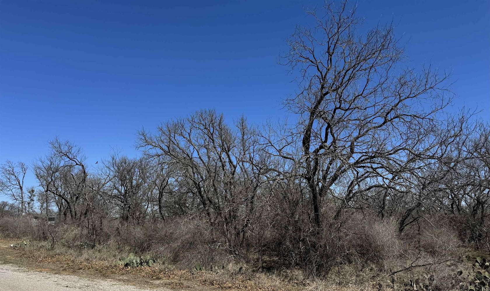 0.63 Acres of Residential Land for Sale in Kingsland, Texas