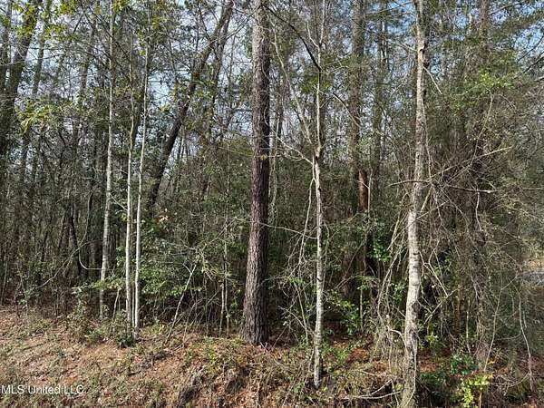 0.18 Acres of Residential Land for Sale in Diamondhead, Mississippi