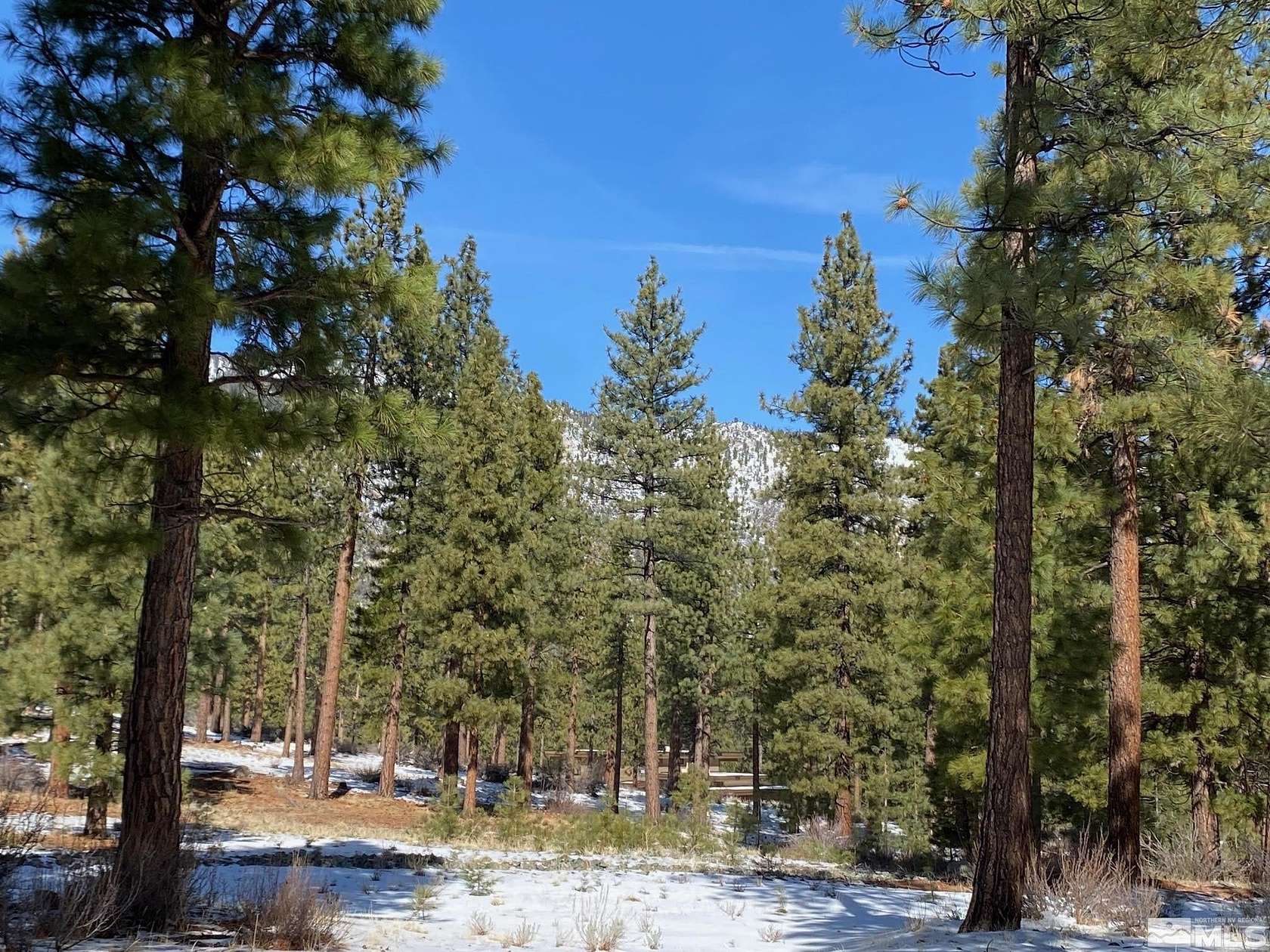 0.73 Acres of Residential Land for Sale in Carson City, Nevada