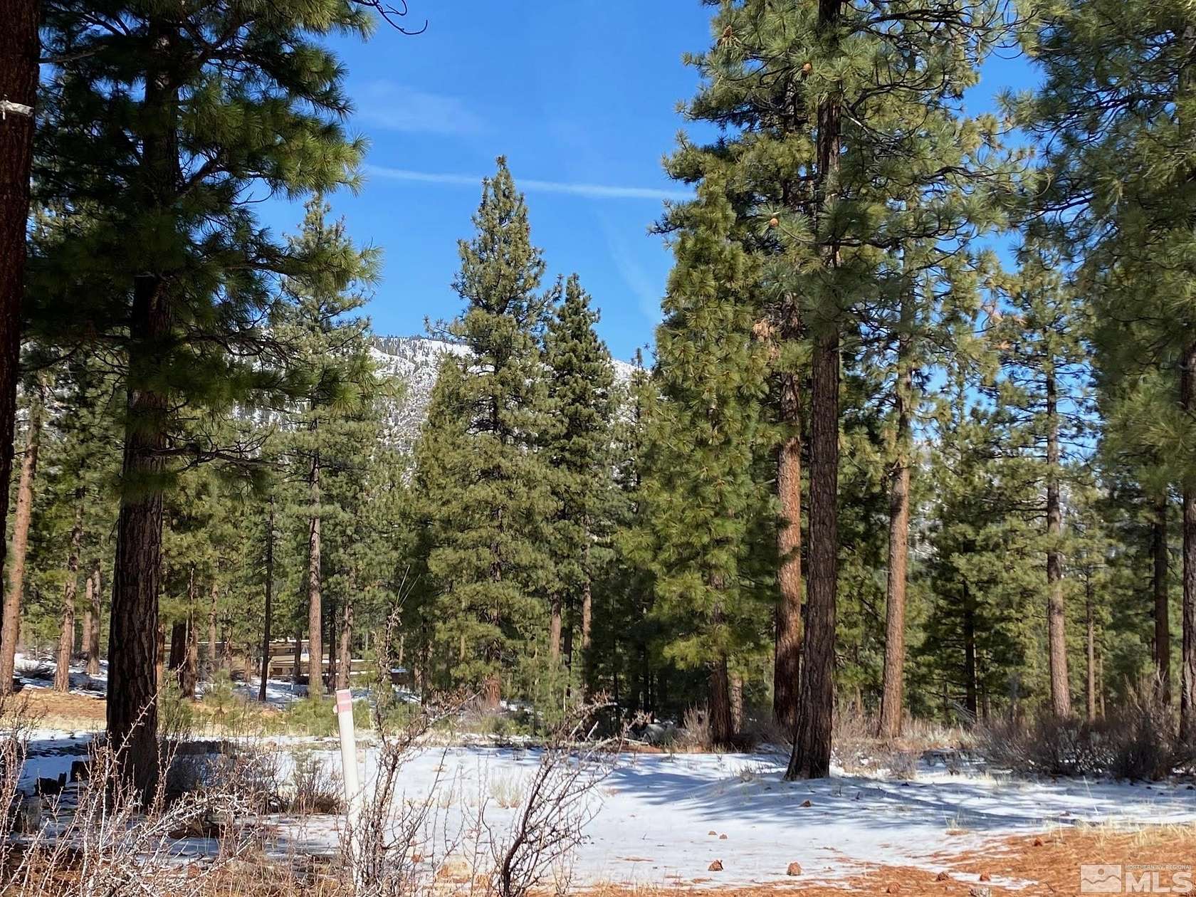 0.73 Acres of Residential Land for Sale in Carson City, Nevada
