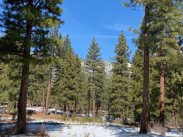 0.73 Acres of Residential Land for Sale in Carson City, Nevada