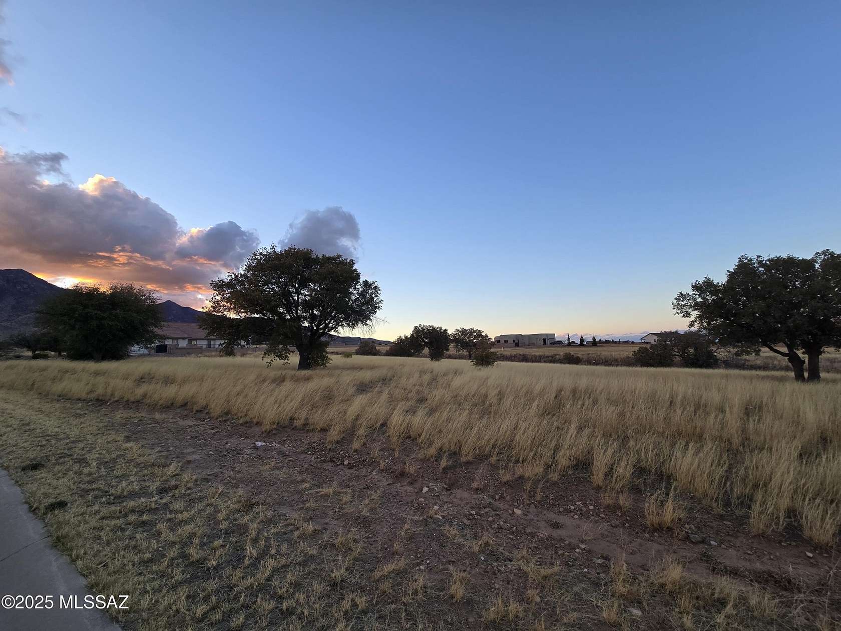 1 Acre of Residential Land for Sale in Hereford, Arizona