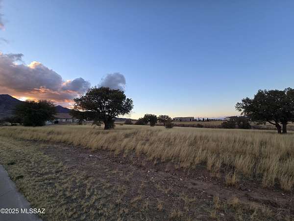 1 Acre of Residential Land for Sale in Hereford, Arizona