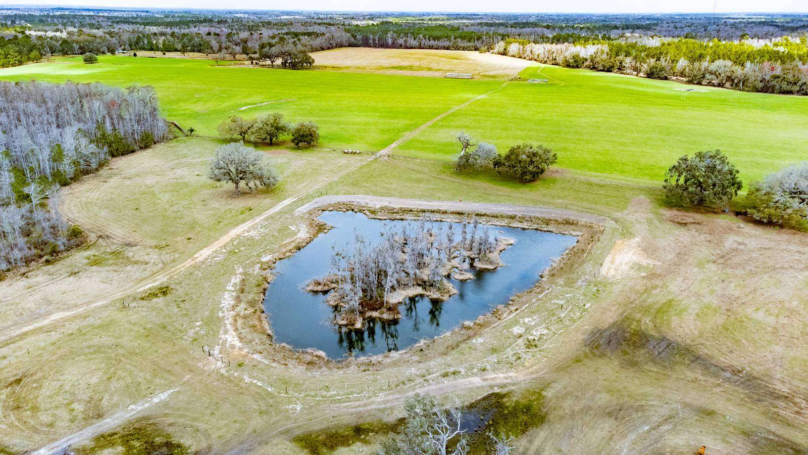 193 Acres of Land with Home for Sale in Greenville, Florida