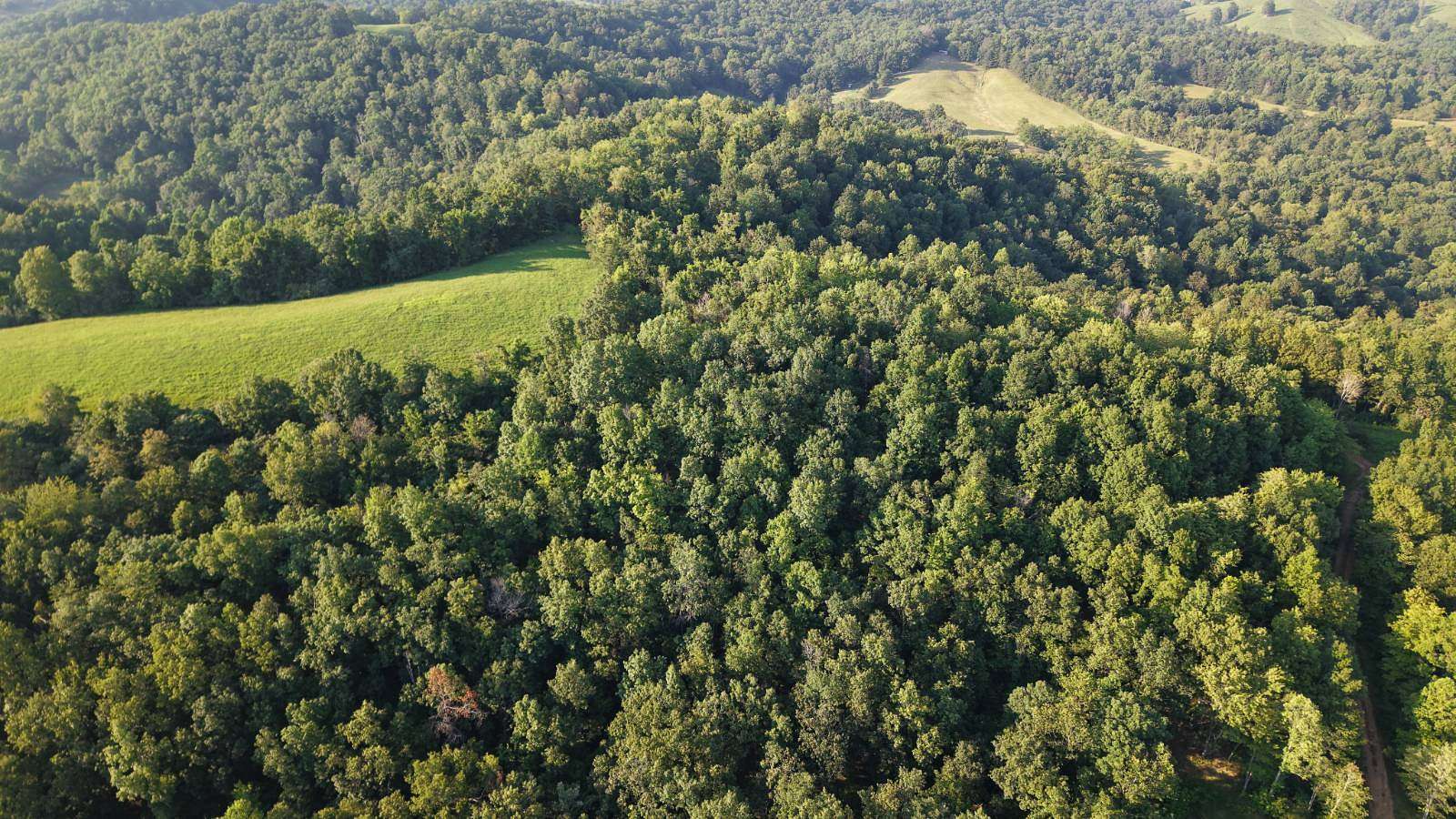 169 Acres of Recreational Land for Sale in Spencer, West Virginia