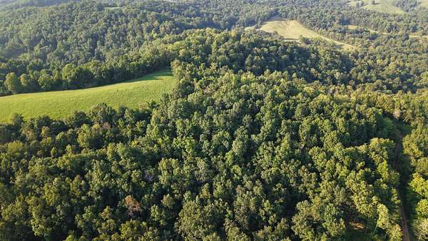 169 Acres of Recreational Land for Sale in Spencer, West Virginia