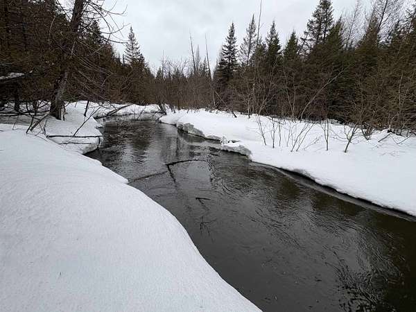 23.2 Acres of Recreational Land for Sale in Greensboro, Vermont