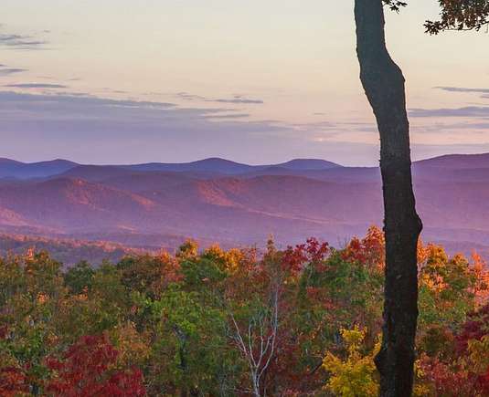 0.97 Acres of Mixed-Use Land for Auction in Jasper, Georgia