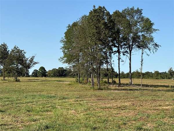 11.8 Acres of Recreational Land for Sale in Como, Texas